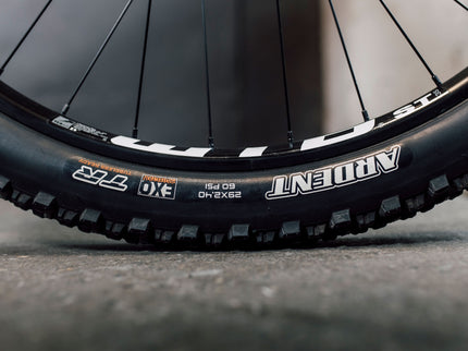 The Link- SE 3