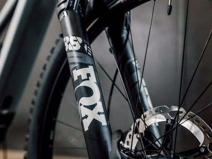 The Link- SE 1