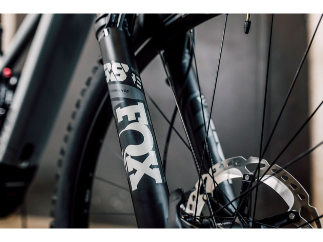 The Link- SE 1